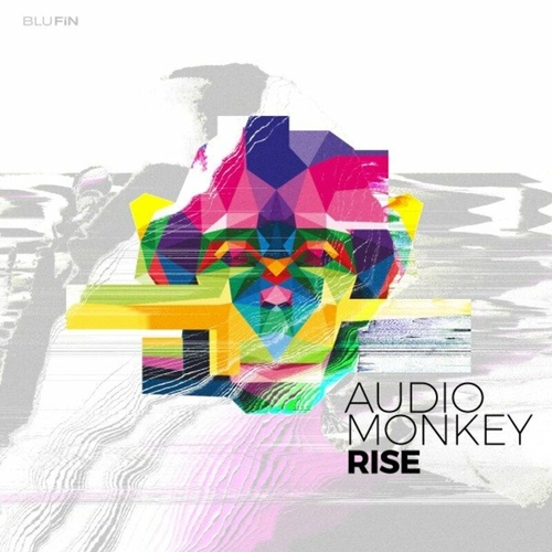 Audio Monkey - Rise [BF358]